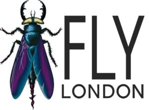 fly-london-logo