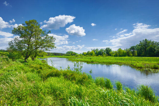 43971611 – spring summer river landscape blue sky clouds countryside